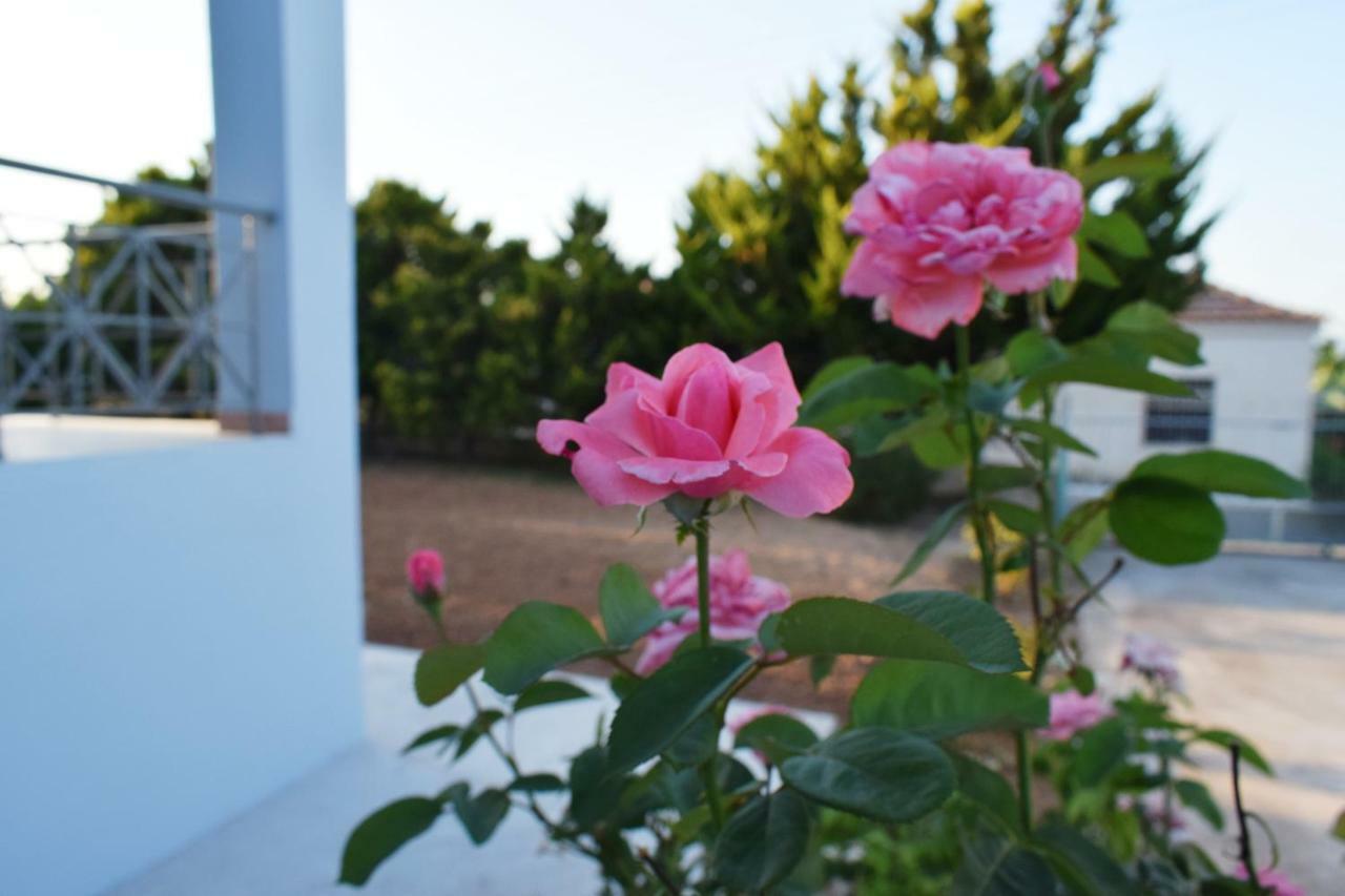 North Villa Corinth Kültér fotó